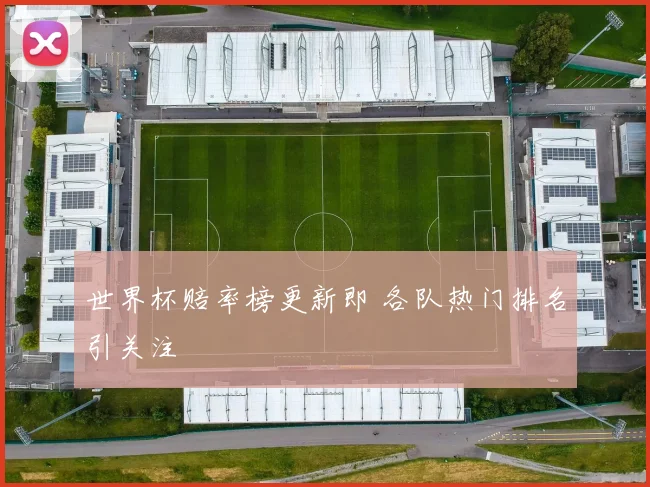 世界杯赔率榜更新即 各队热门排名引关注