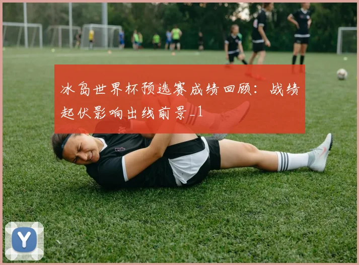 冰岛世界杯预选赛成绩回顾：战绩起伏影响出线前景_1