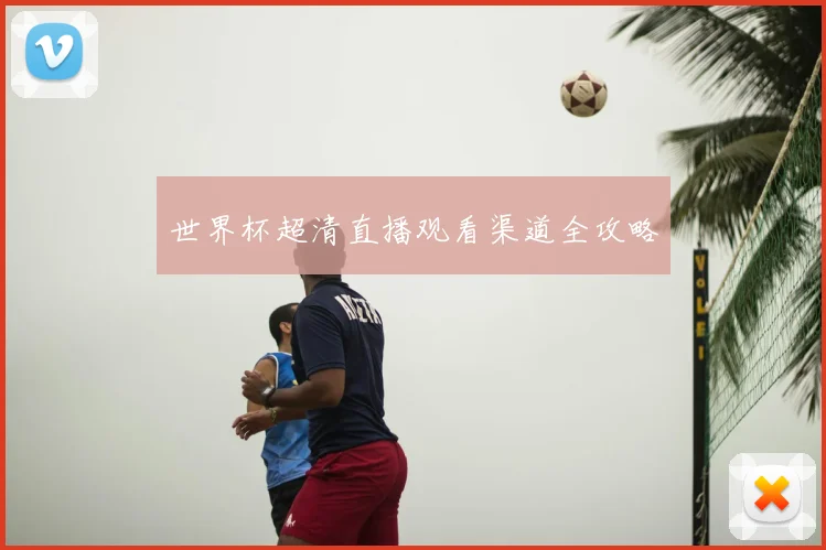 世界杯超清直播观看渠道全攻略